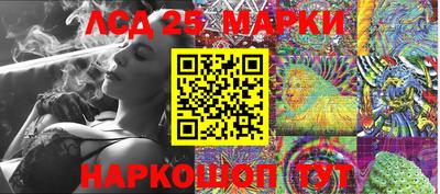 apvp Гатчина