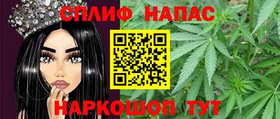 apvp Гатчина