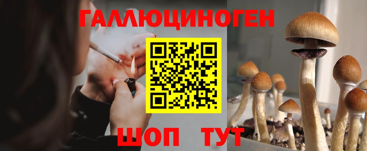 Жигулёвск  Псилоцибиновые грибы Psilocybe  Вход с VPN 